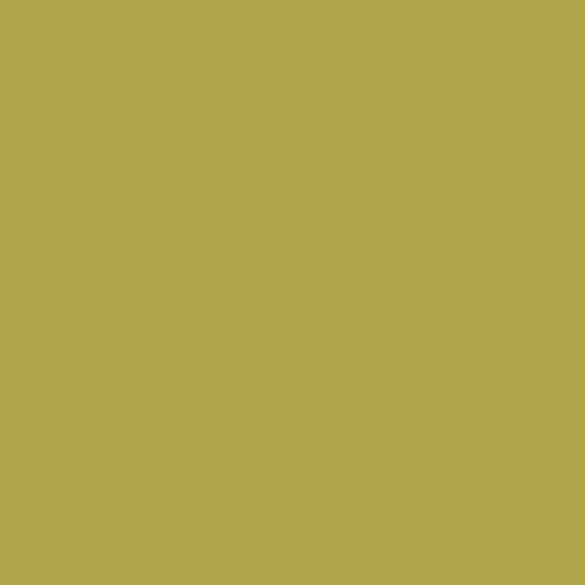 Olive Tree 392